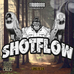Shotflow