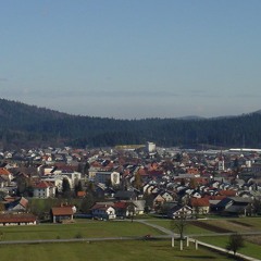 NESI - TO GRE ZA LOGATEC