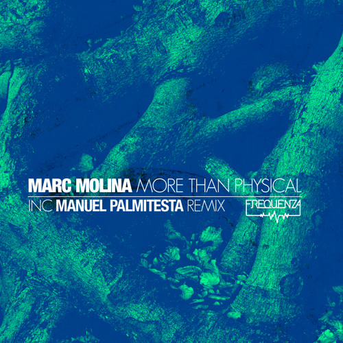 Marc Molina - More Than Physical - inc. Manuel Palmitesta Remix