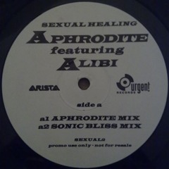 DJ Aphrodite Remix - Aphro feat. Alibi 'Sexual Healing' (1996)