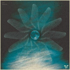 Jani R - Fragile Shell - DikoHellish