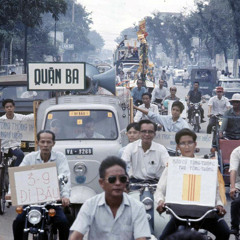 Đám Cưới Đầu Xuân - Tuấn Vũ