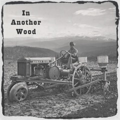 I Can Do Whatever I Wanna Do