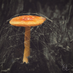 Lionel Richie - Say You, Say Me (Fear The Wolf Remix)