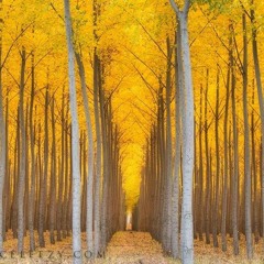 Mr.Within's Dream ∞ 16/1/15 ∞ Beautiful Music Daily