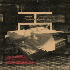 Anduin - Last Days (Borne Mix)