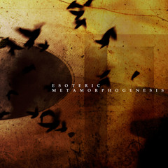 Psychotropic Transgression