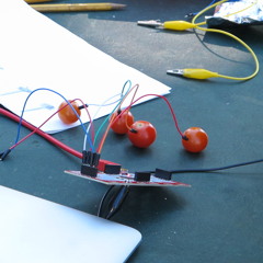 Garden + Arduino (little computer) = Gardweeno