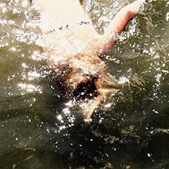 SHXCXCHCXSH - This Hmming Raverie