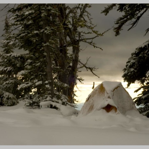 FIELDNOTES: I report on my wilderness ecology fieldwork from the field…
