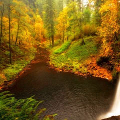 Golden Falls 2