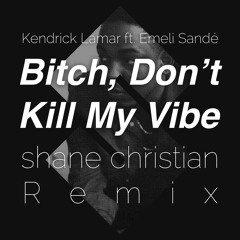 Kendrick Lamar - "Bitch, Don't Kill My Vibe" (shane christian Remix)