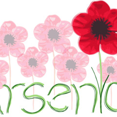 Teenager (Camera Obscura Cover)