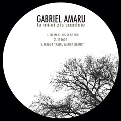 Gabriel Amaru - Tu mi-ai zis scanteie EP (OUT NOW SSR0014)