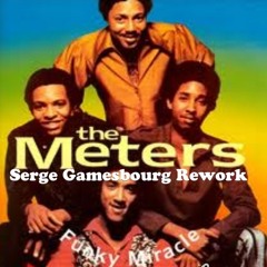 THE METERS 'FUNKY MIRACLE' (SERGE GAMESBOURG REWORK)