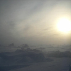 Arctic Winds