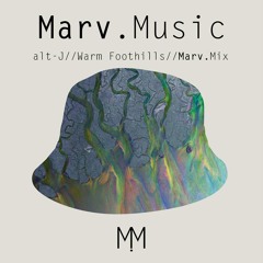 alt-J - Warm Foothills - Remix (Marv.Music)