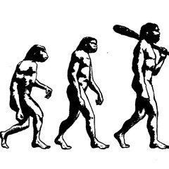 Evolution