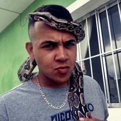 ( ACAPELA - MC MENOR JK HOJE EU TO ANIMAL )