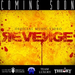 Theory - Revenge