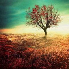 Giuseppe Ottaviani,  Armin Van Buuren,  Aly & Fila  - Communication Mashup