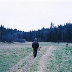 Simon Cole Trio on Northern Themes