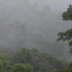 One Of Saturn's Moons - Original