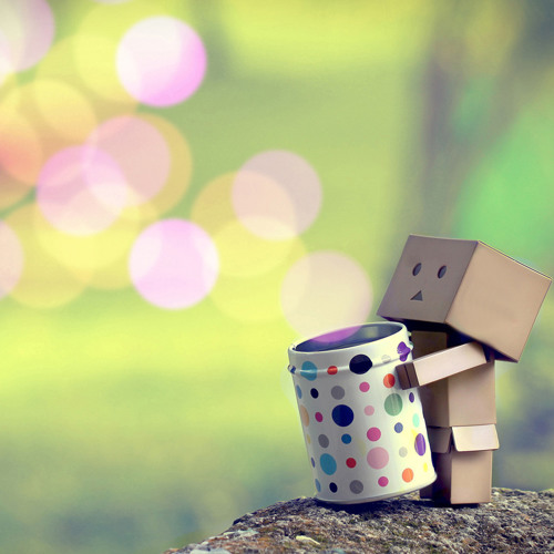 কখনো বলবো না. . . .