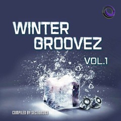 Mind Void - Conquer !!OUT NOW!! on Winter Groovez VA