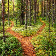 different paths.