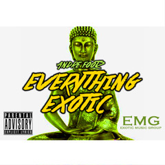 Hip-Hop Rap Rnb - Everything Exotic