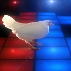 TECHNO CHICKEN - Summer 2016 DJ S4NDRO