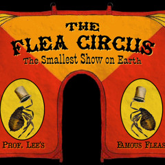 Flea Circus (Composed for The Great Magician Nachez' Show)
