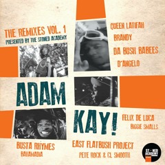 Adam Kay - The Remixes Vol. 1 - 04. Queen Latifah - Just Another Day Remix