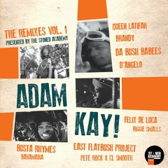 Adam Kay - The Remixes Vol. 1 - 13. Bonus Track - K.O. - Funky Muhfucka