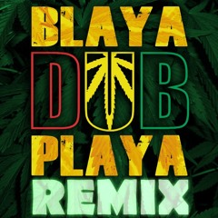 Blaya Dub Playa - Treba Radi Gun (Pandorum Remix)