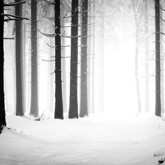 Aqualung & Lucy Schwartz - Cold