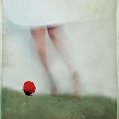 Meta & Gor Mkhitarian-Garun