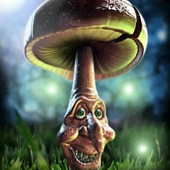 ૐProggyFreakૐVoLlEsRoHr