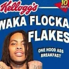 waka flocka flame - hard in the paint (remix)