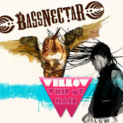 Willow Smith - "Whip My Hair" (Bassnectar remix)