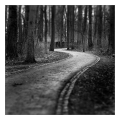 Gridline - STOL II
