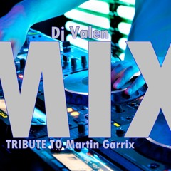 Dj Valen Mix Tribute to Martin Garrix