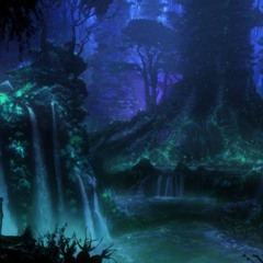 Meditación En La Selva