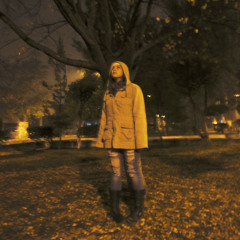 La camara de faltas cover