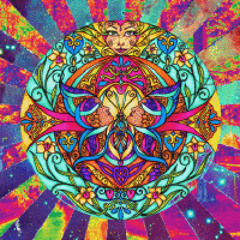 COMFORT ZONE ( EDITED )