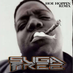 Dirty Snatcha- Hoe Hoppin (SUGA-FREE REMIX)