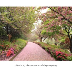20150118 主日獻詩 最大的祝福