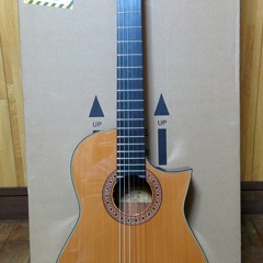 Dança Solitária Pt.1