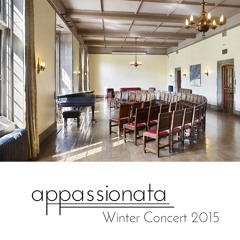 07 F - A-E Sonata For Violin And Piano  III. Scherzo  Allegro